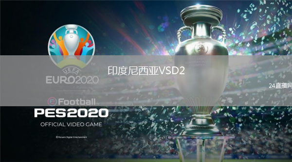 印度尼西亚VSD2