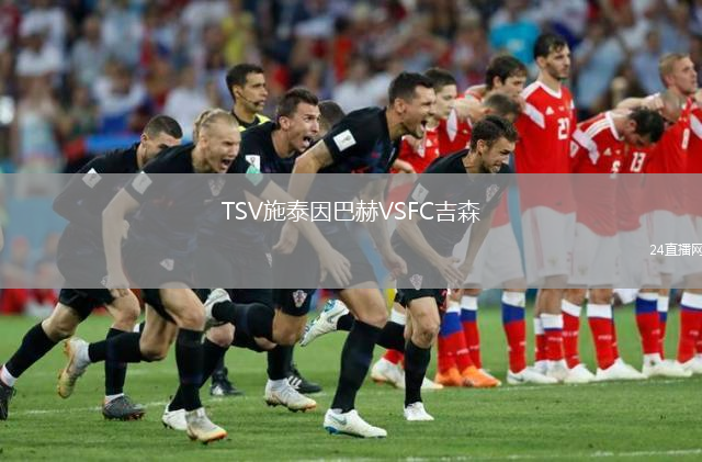 TSV施泰因巴赫VSFC吉森