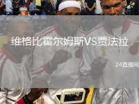 维格比霍尔姆斯VS贾法拉
