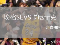 埃格SEVS卡尼菲克