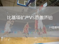 比基塔矿产VS恩盖济铂