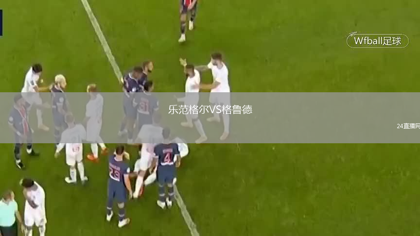 乐范格尔VS格鲁德