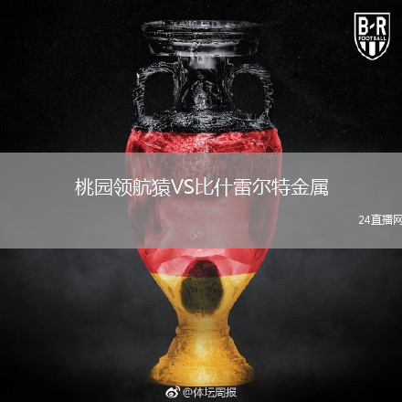 桃园领航猿VS比什雷尔特金属